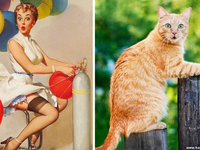 Pinup Pussy