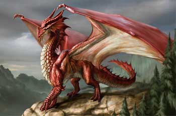 Chromatic Dragons- Red