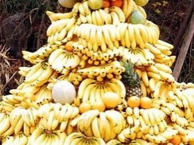 Tally APE, tally the bananas ...