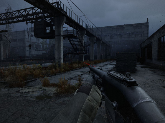 Stalker2_003
