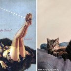 Pinup Pussy