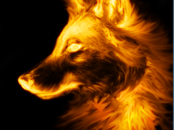 Fire Wolf 3