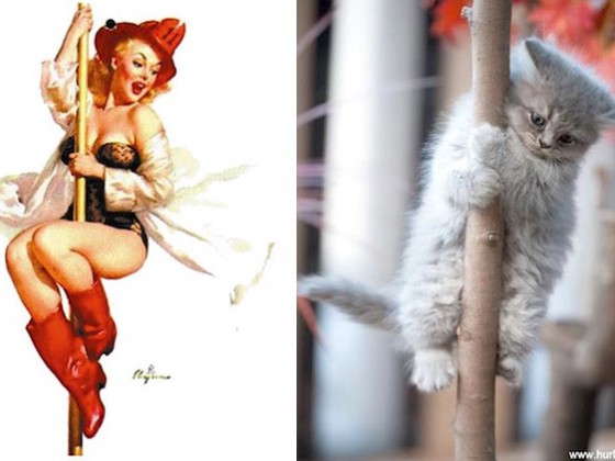 Pinup Pussy