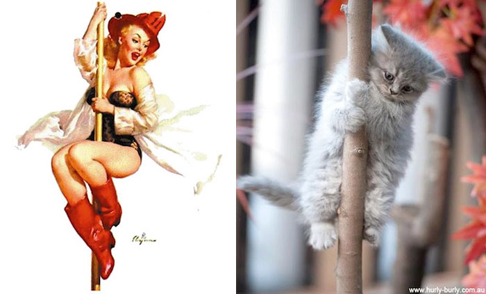 Pinup Pussy