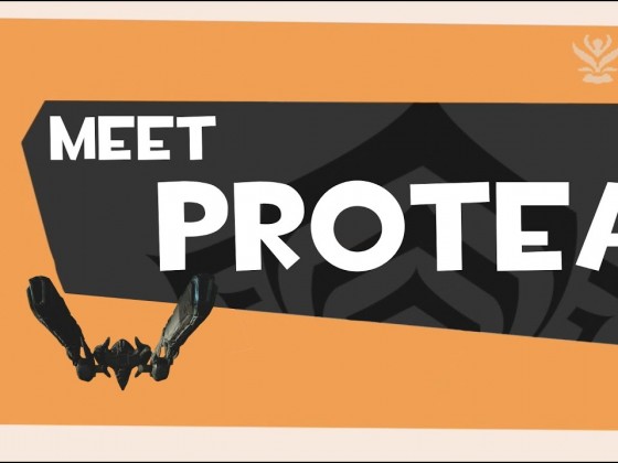 Meet Protea