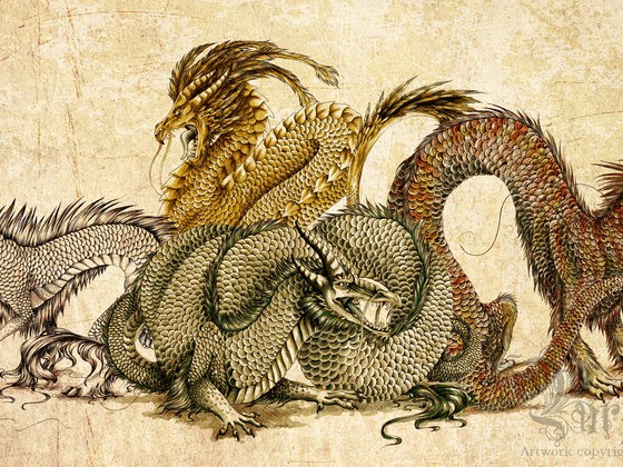 The Four Dragons