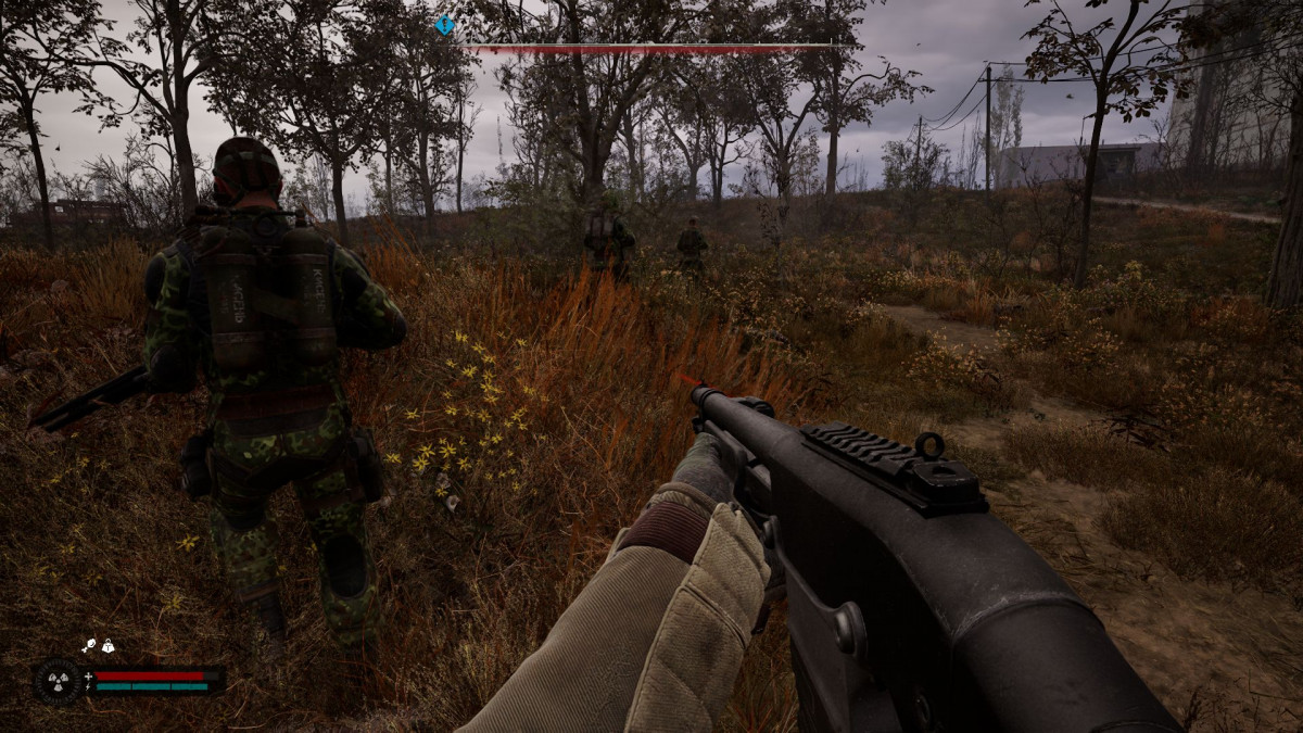 Stalker2_005