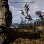 Stalker2_001