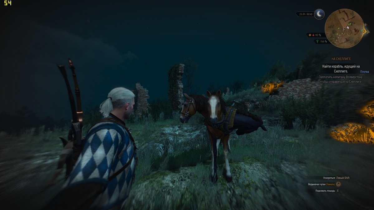 witcher3 2015-06-07 02-30-12-26