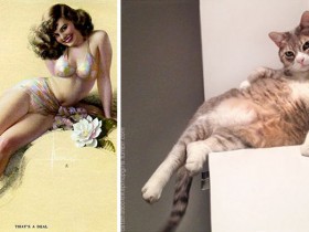 Pinup Pussy